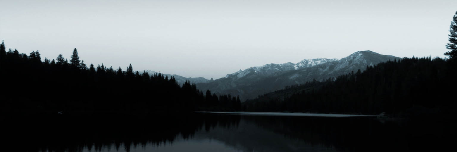 Web漏洞扫描工具