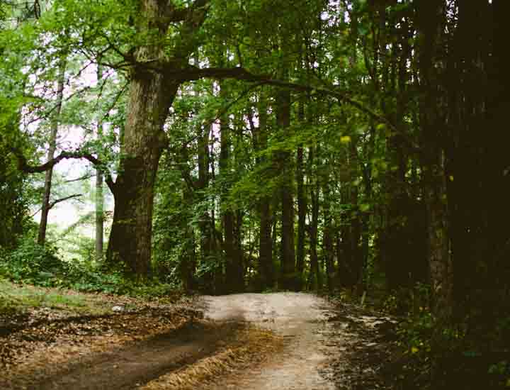 在线DDOS压力测试网页端