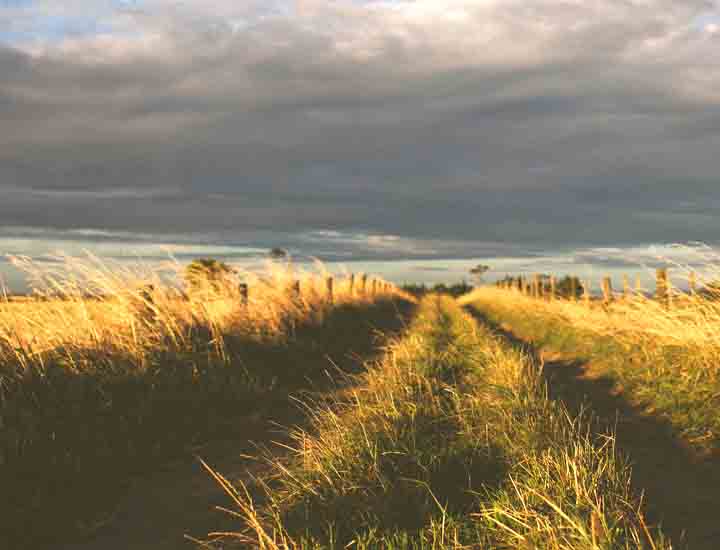 企业定制版的免费ddos在线攻击测试网站