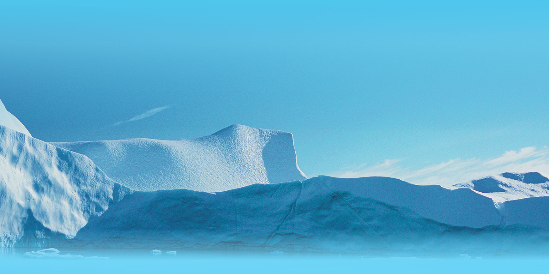 自动攻击网站工具下载